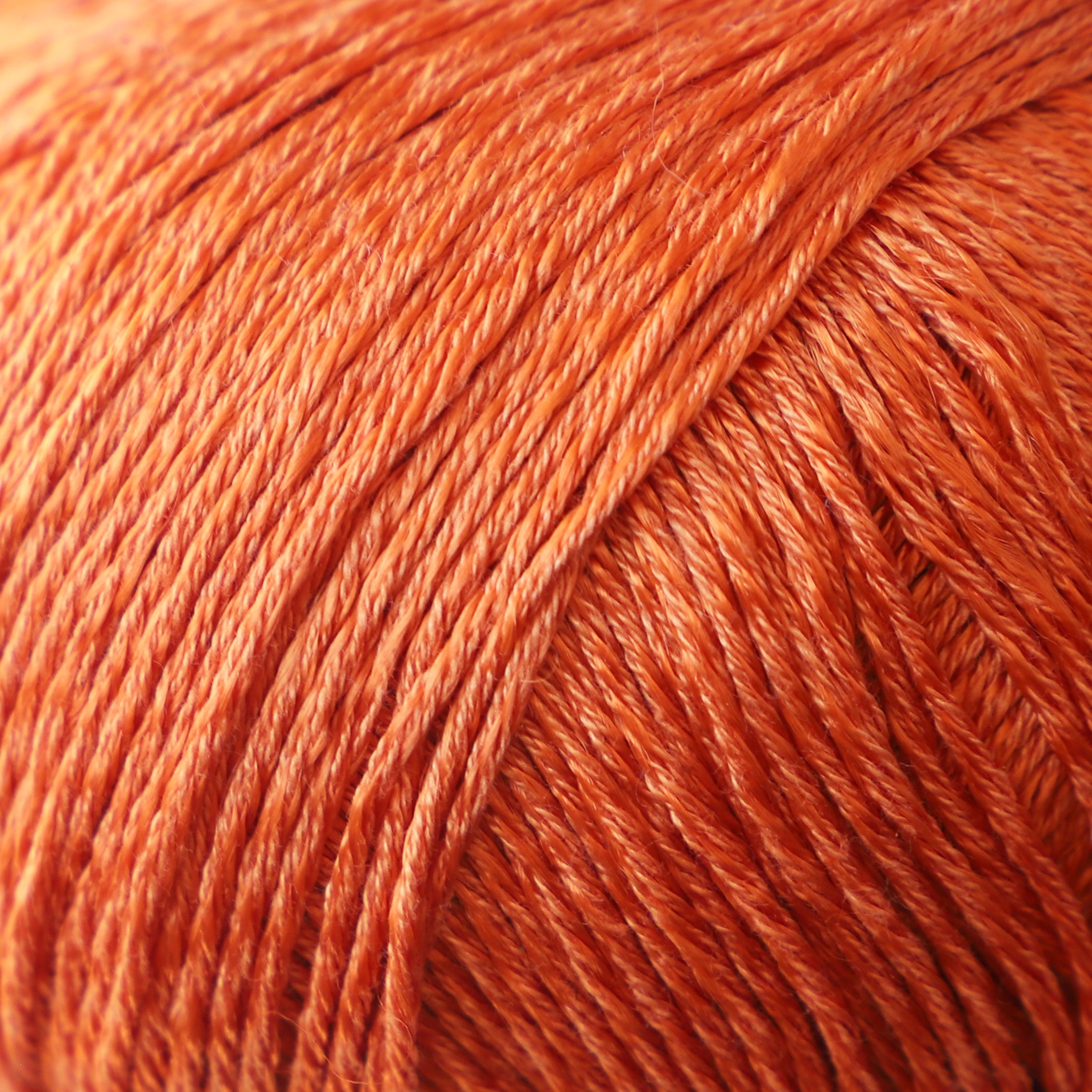 59203#Gama_004 Calabaza