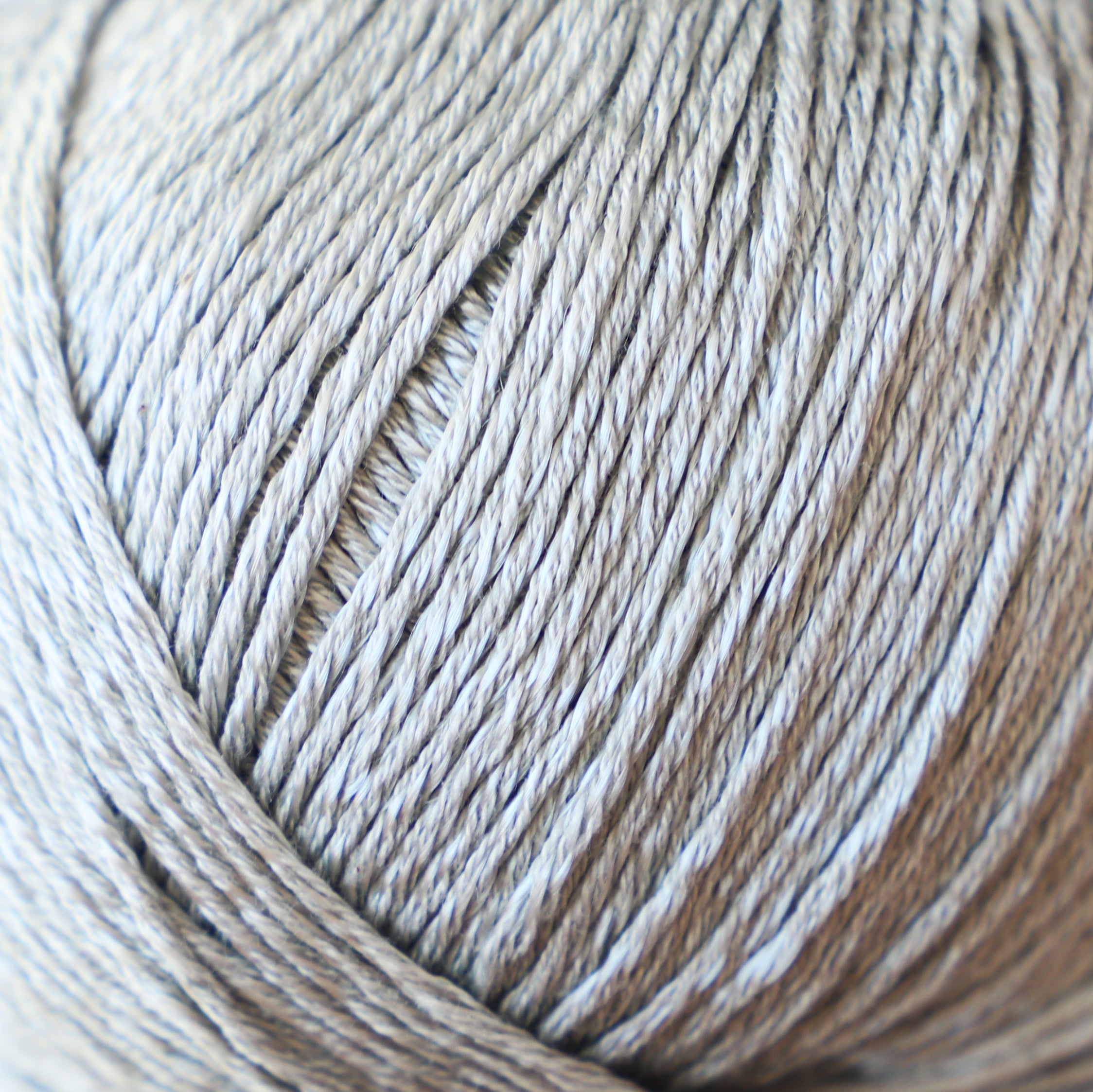 59217#Gama_011 Salvia